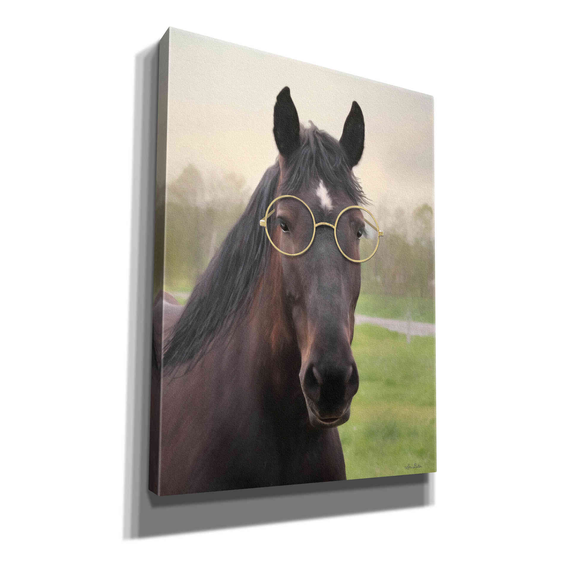 'Horse with Round Glasses' by Lori Deiter, Canvas Wall Art