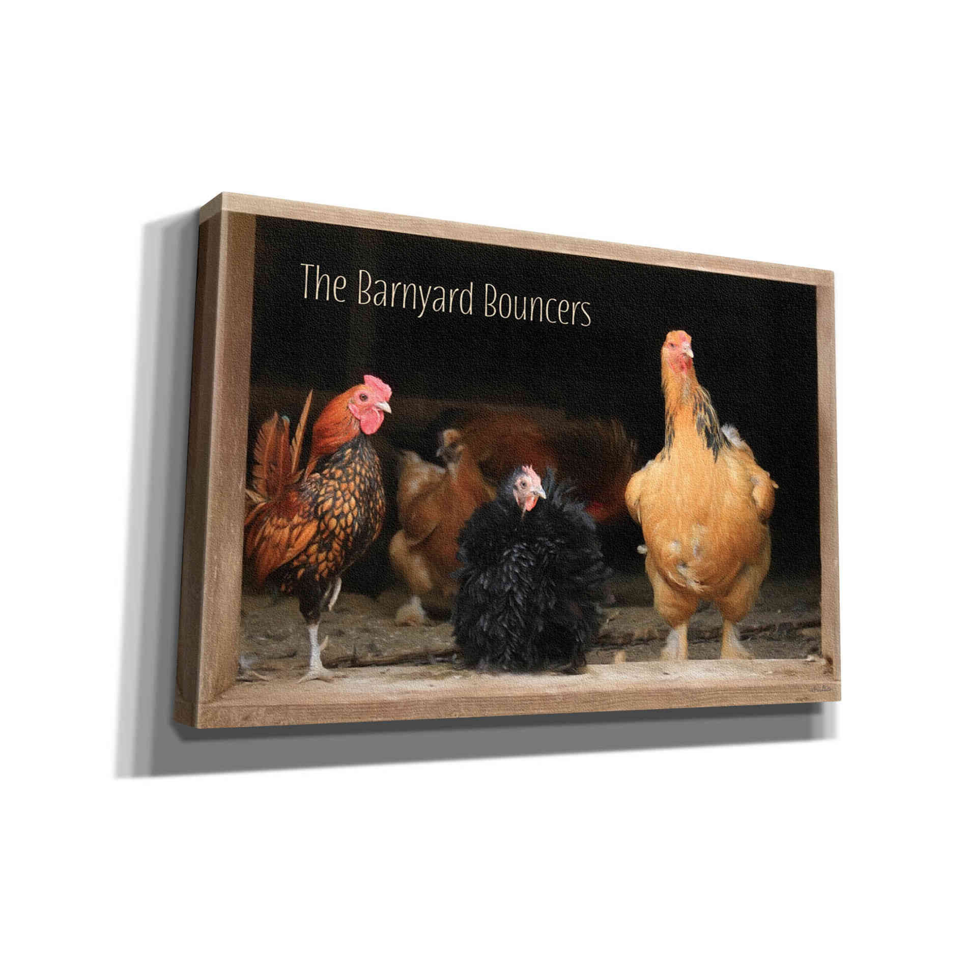 'Barnyard Bouncers' by Lori Deiter, Canvas Wall Art