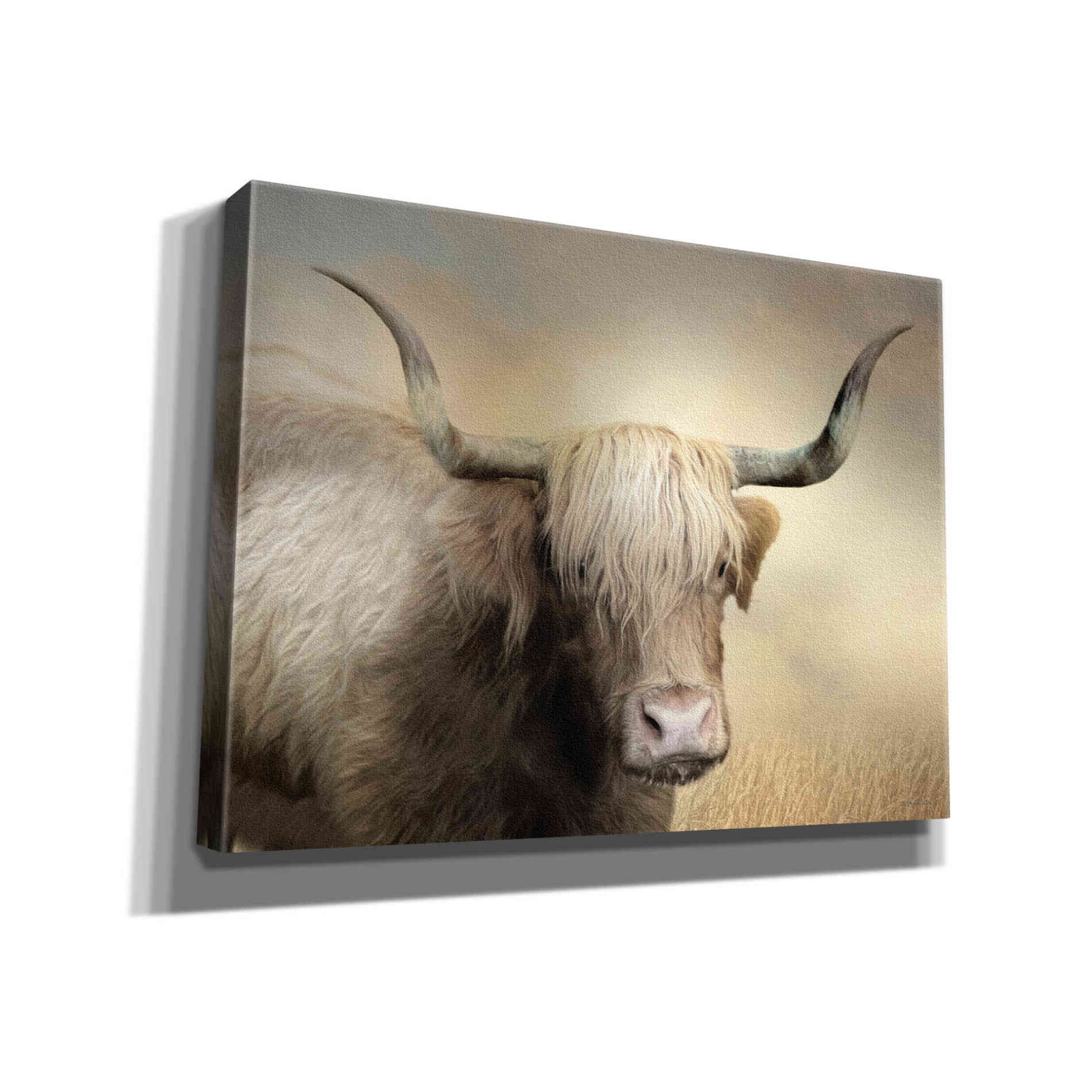 'Highland Cow in Golden Grass' by Lori Deiter, Canvas Wall Art
