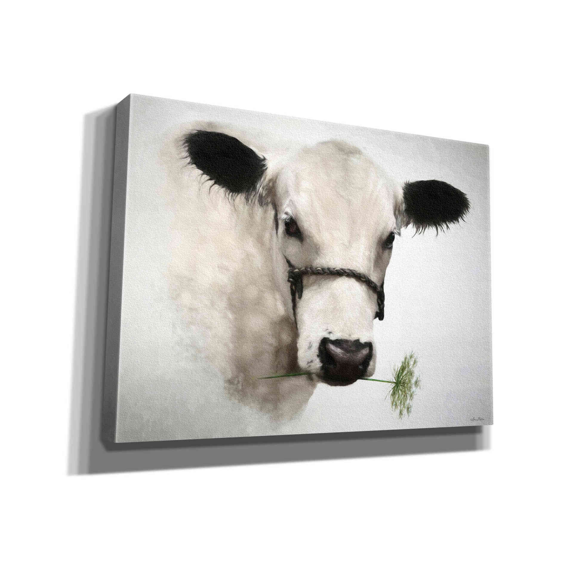 'Flower Girl' by Lori Deiter, Canvas Wall Art