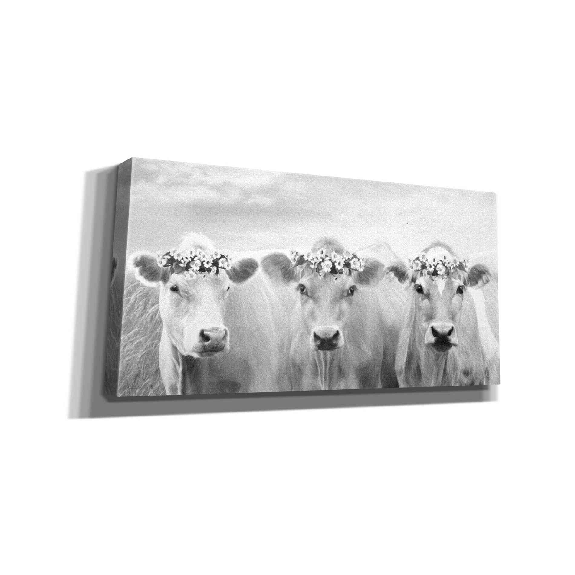 'The Flower Girls' by Lori Deiter, Canvas Wall Art