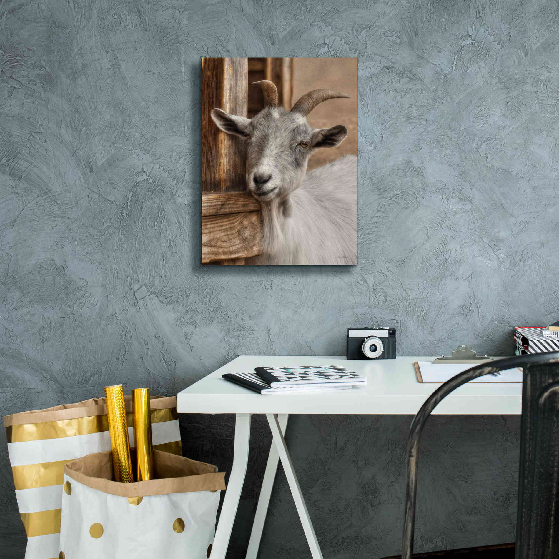 'Gray Goat' by Lori Deiter, Canvas Wall Art,12 x 16
