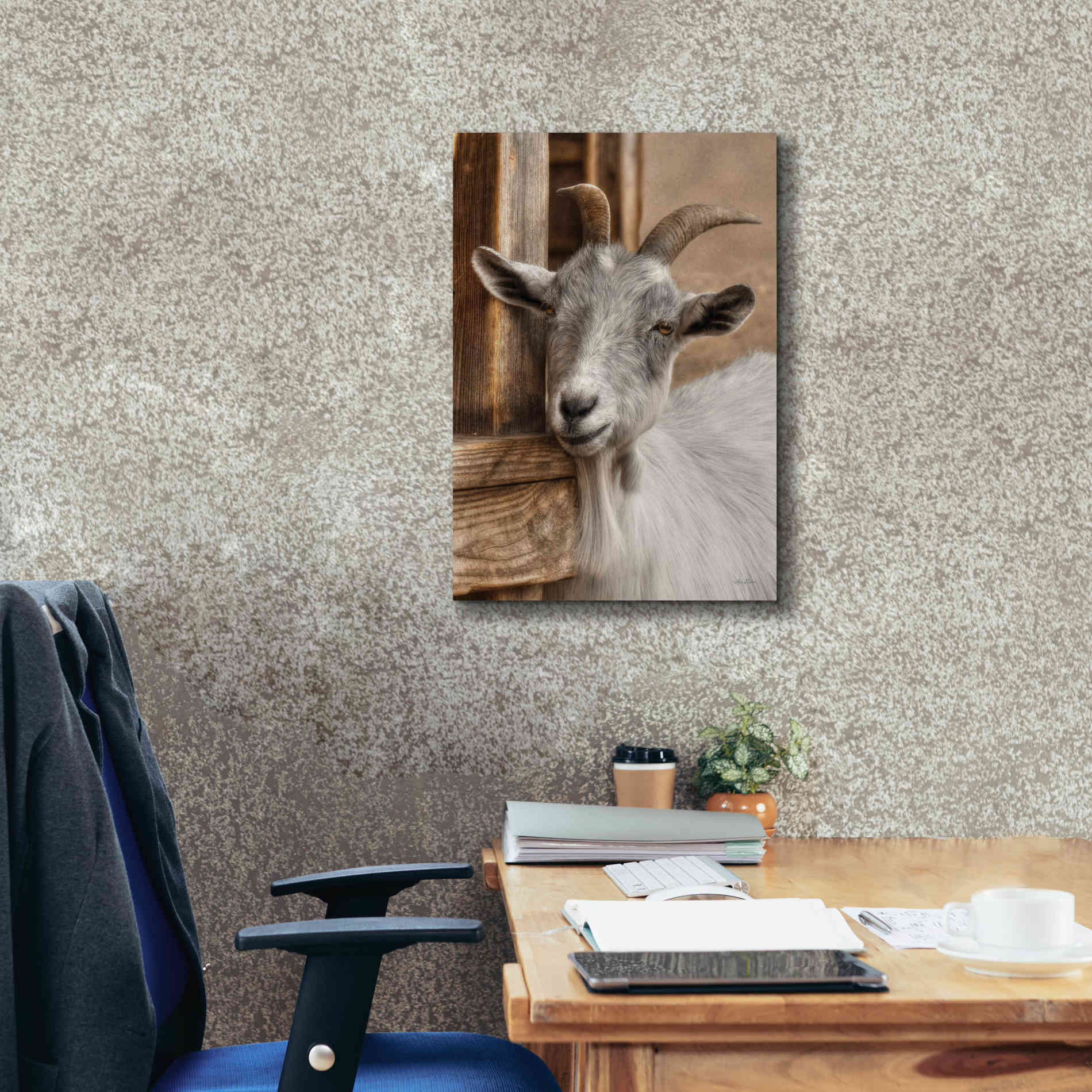 'Gray Goat' by Lori Deiter, Canvas Wall Art,18 x 26