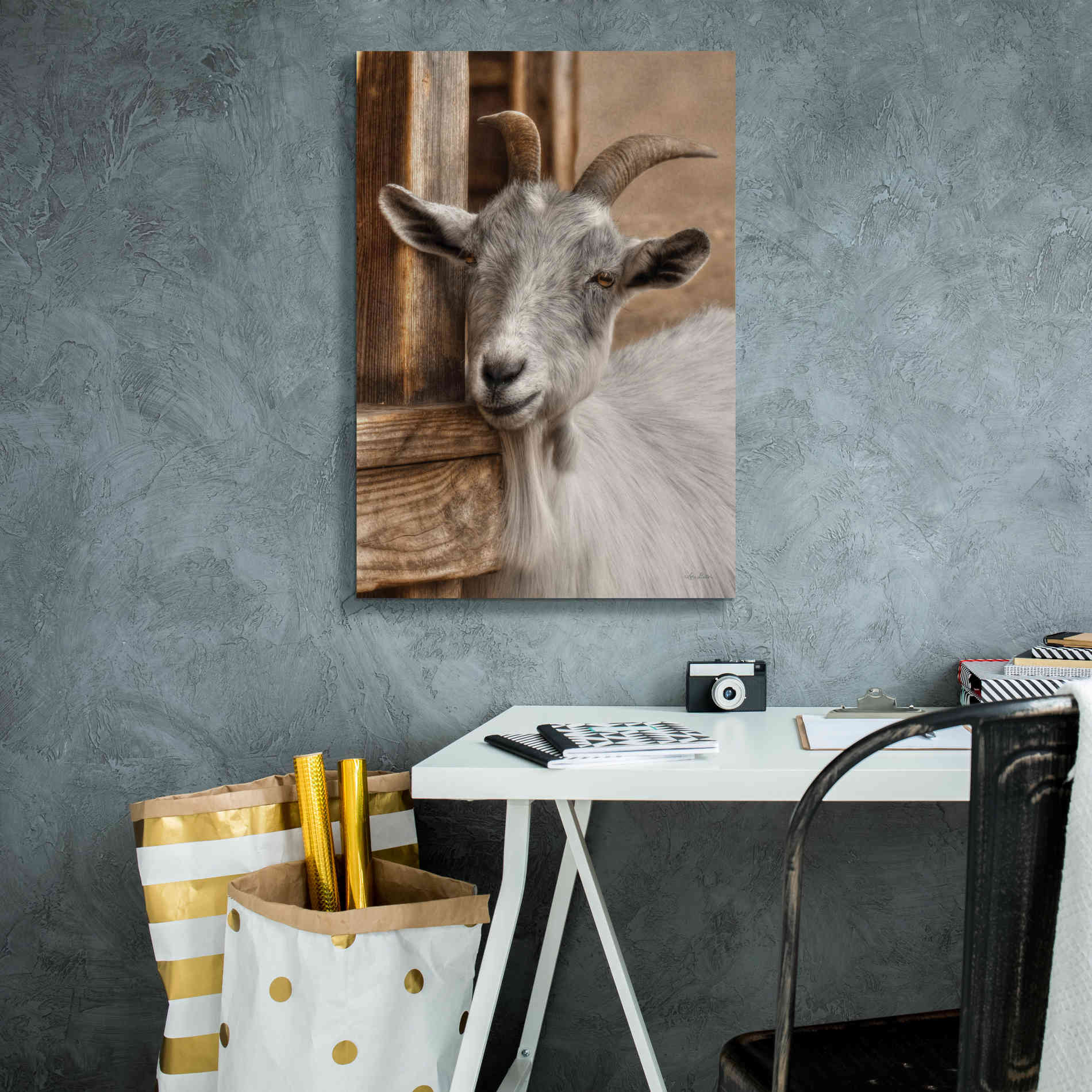 'Gray Goat' by Lori Deiter, Canvas Wall Art,18 x 26