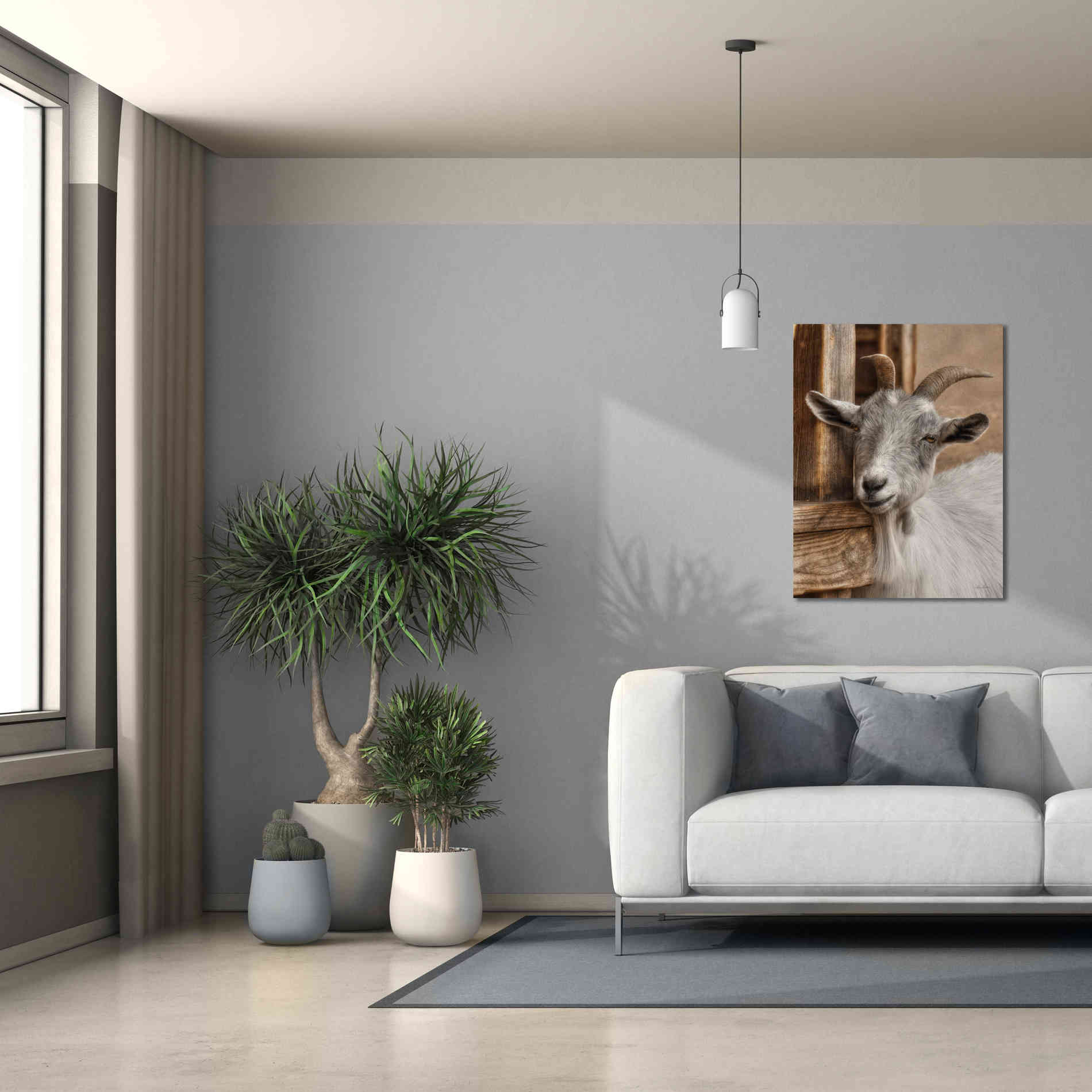 'Gray Goat' by Lori Deiter, Canvas Wall Art,26 x 34