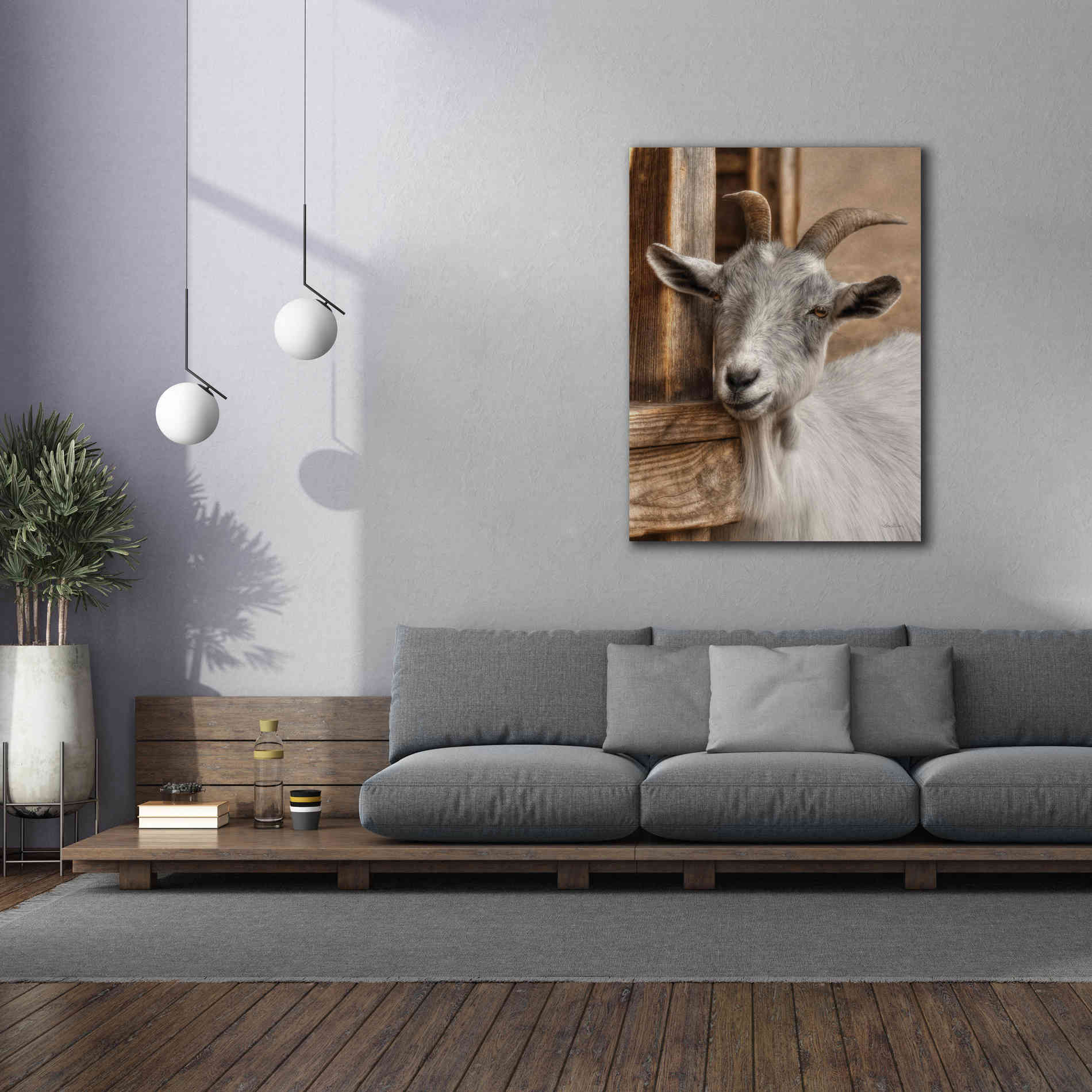 'Gray Goat' by Lori Deiter, Canvas Wall Art,40 x 54