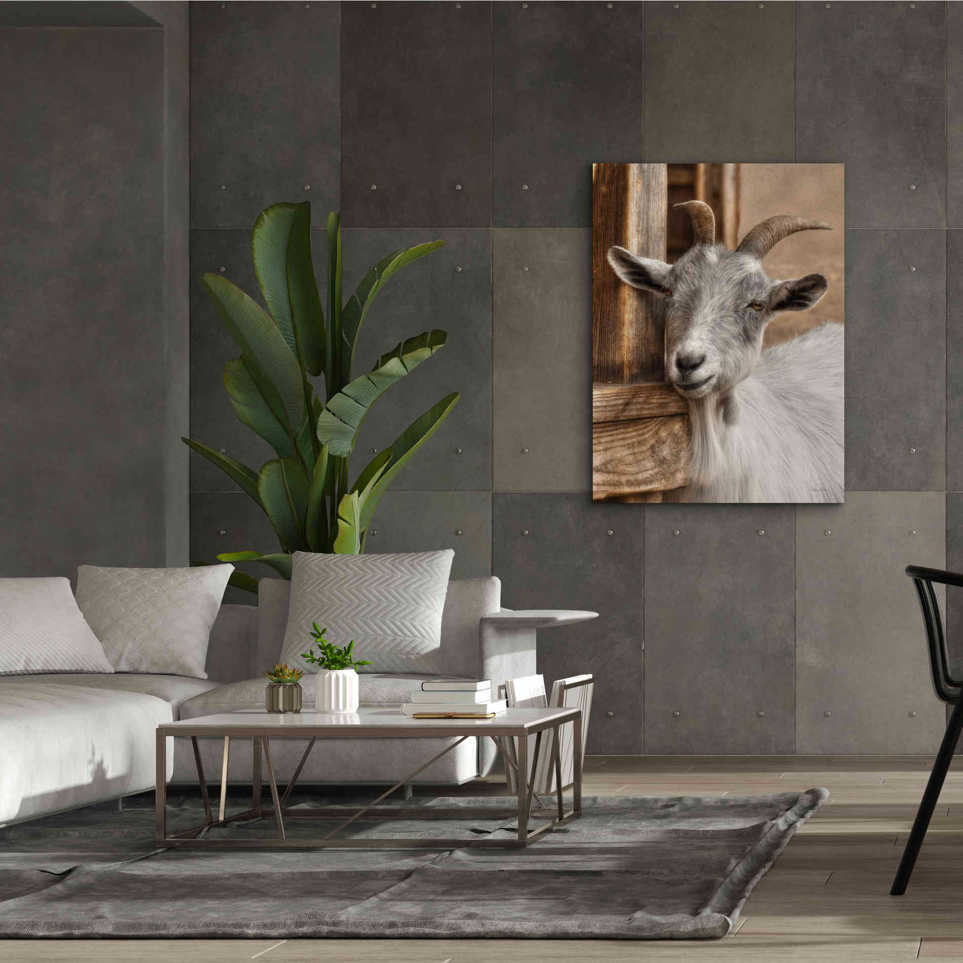 'Gray Goat' by Lori Deiter, Canvas Wall Art,40 x 54
