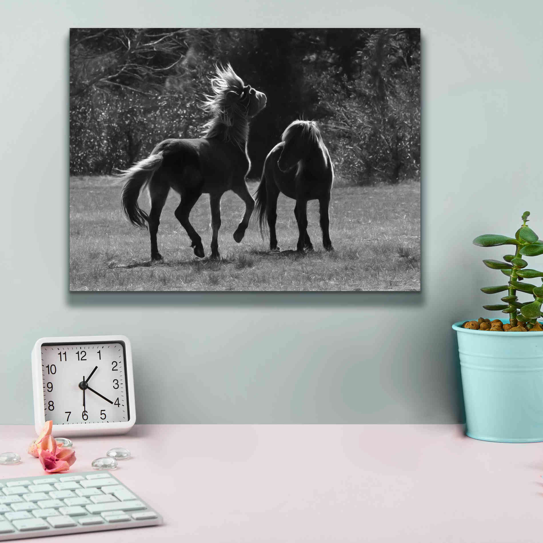 'Black & White Assateague Horses' by Lori Deiter, Canvas Wall Art,16 x 12