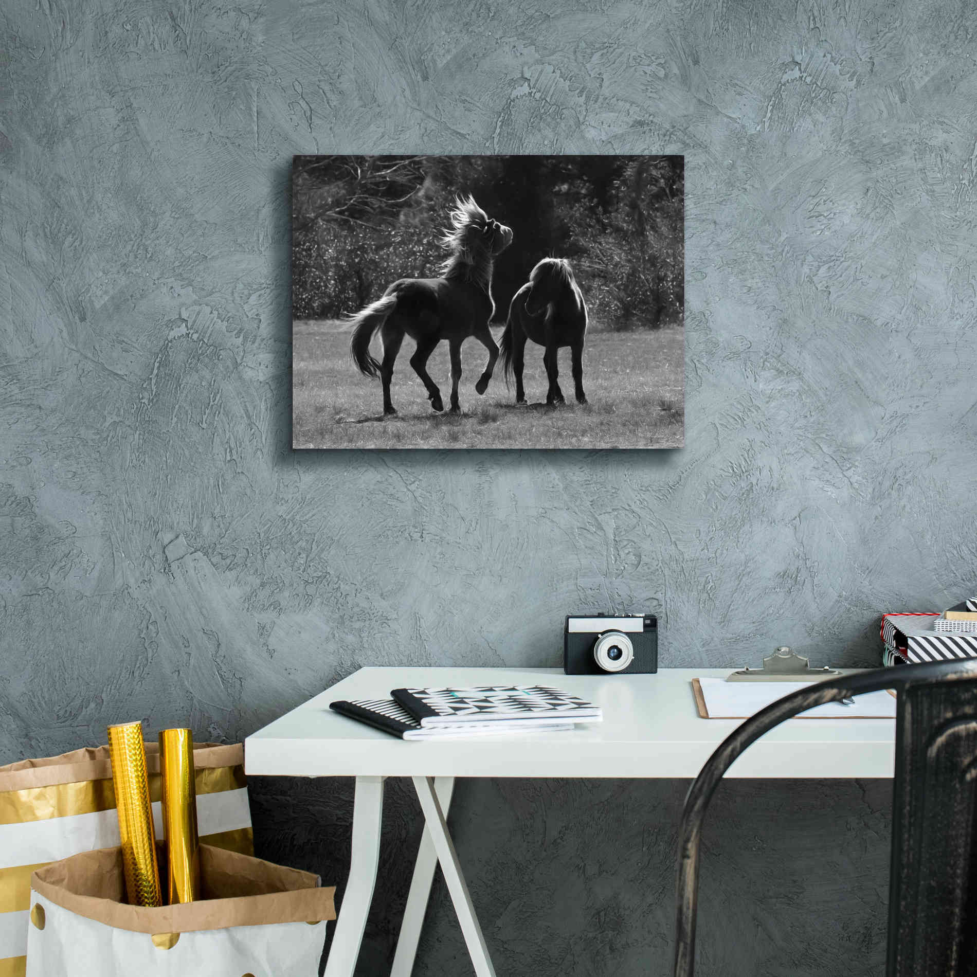 'Black & White Assateague Horses' by Lori Deiter, Canvas Wall Art,16 x 12