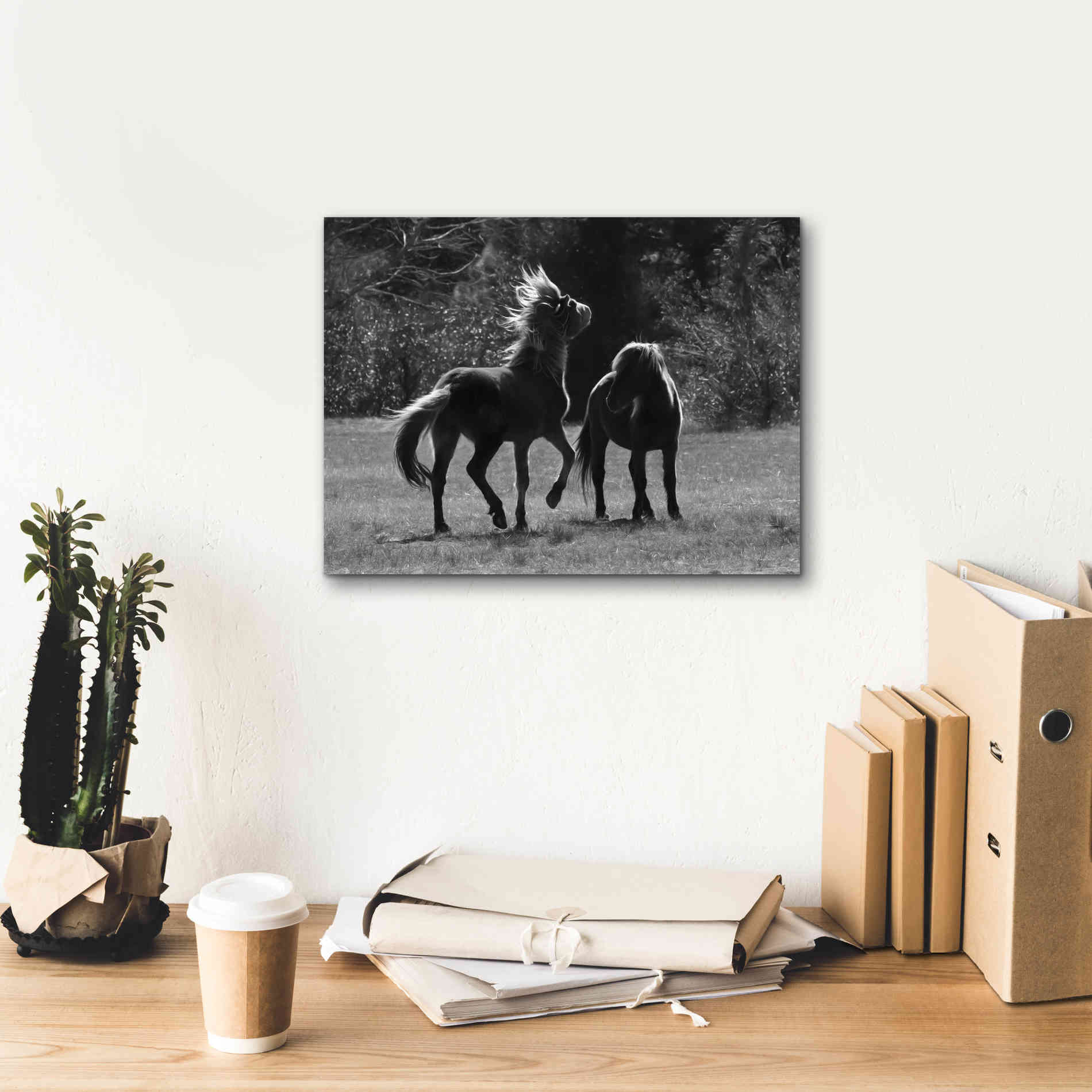 'Black & White Assateague Horses' by Lori Deiter, Canvas Wall Art,16 x 12