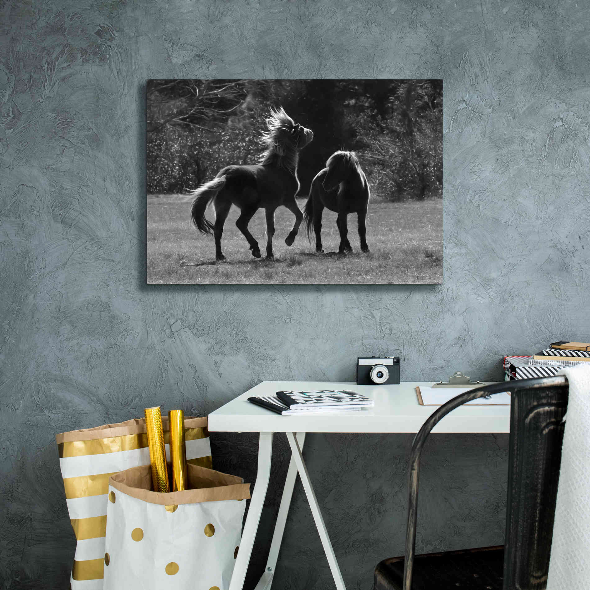 'Black & White Assateague Horses' by Lori Deiter, Canvas Wall Art,26 x 18