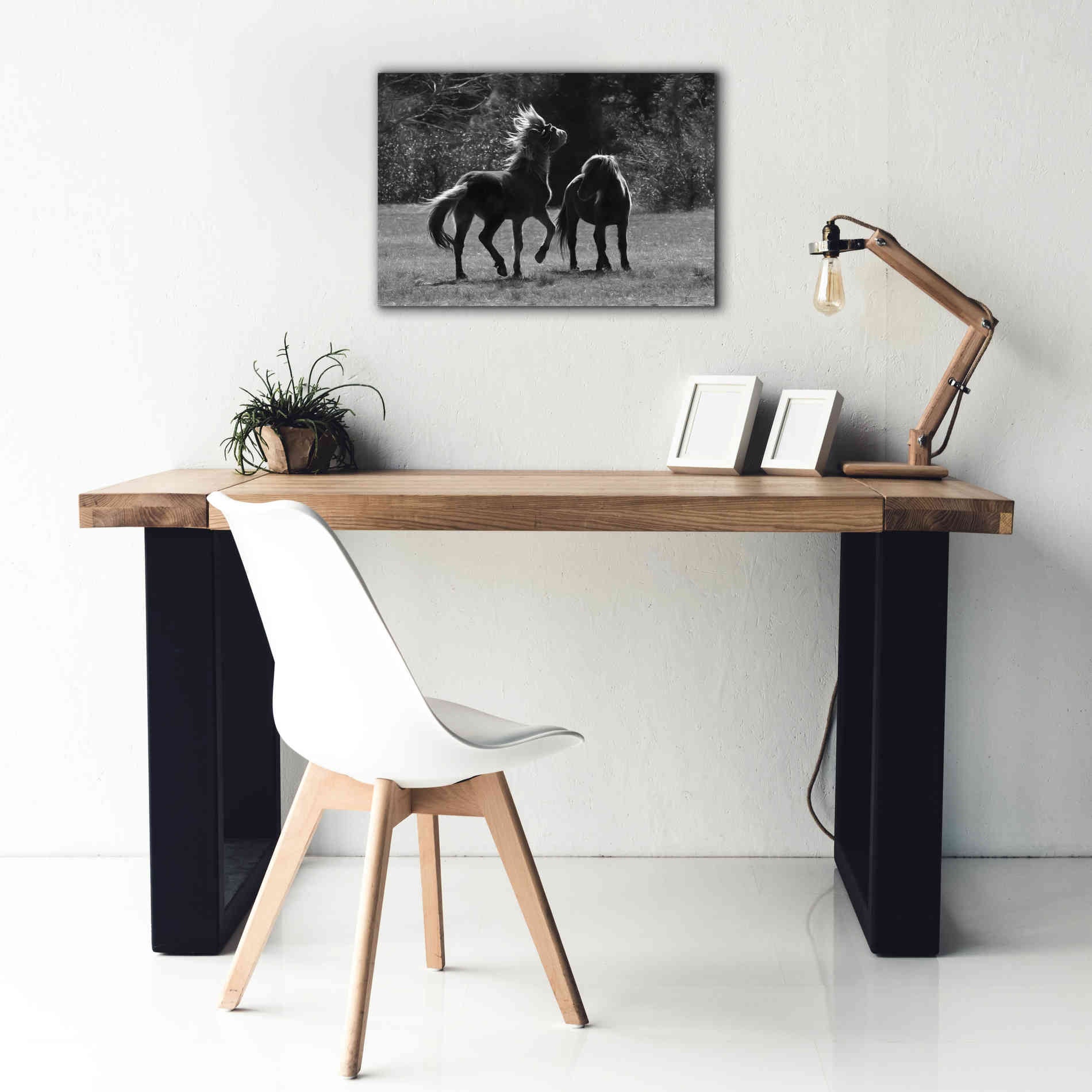 'Black & White Assateague Horses' by Lori Deiter, Canvas Wall Art,26 x 18