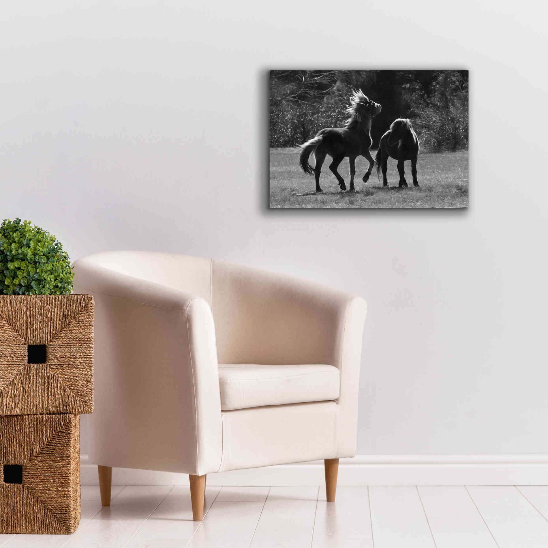 'Black & White Assateague Horses' by Lori Deiter, Canvas Wall Art,26 x 18