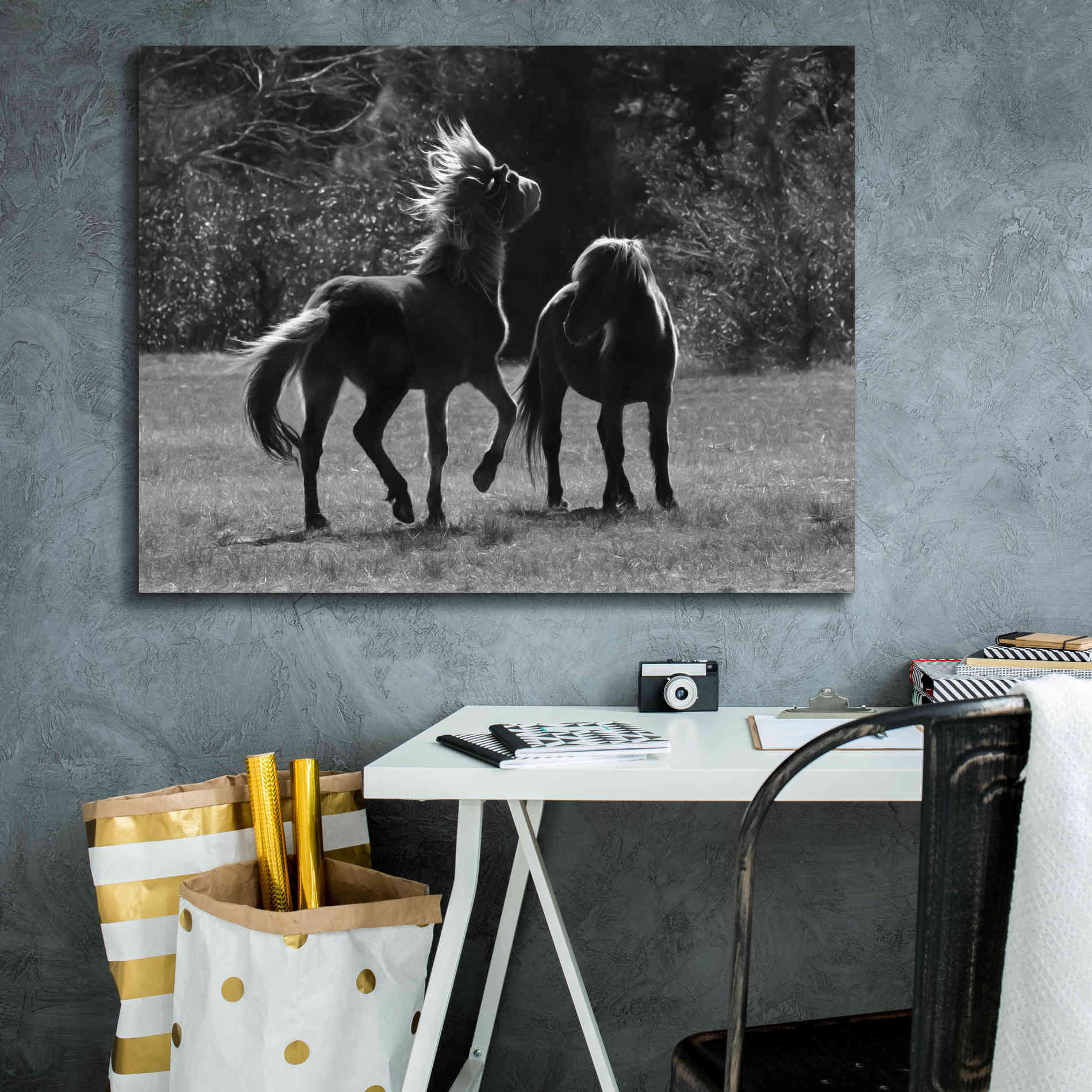'Black & White Assateague Horses' by Lori Deiter, Canvas Wall Art,34 x 26