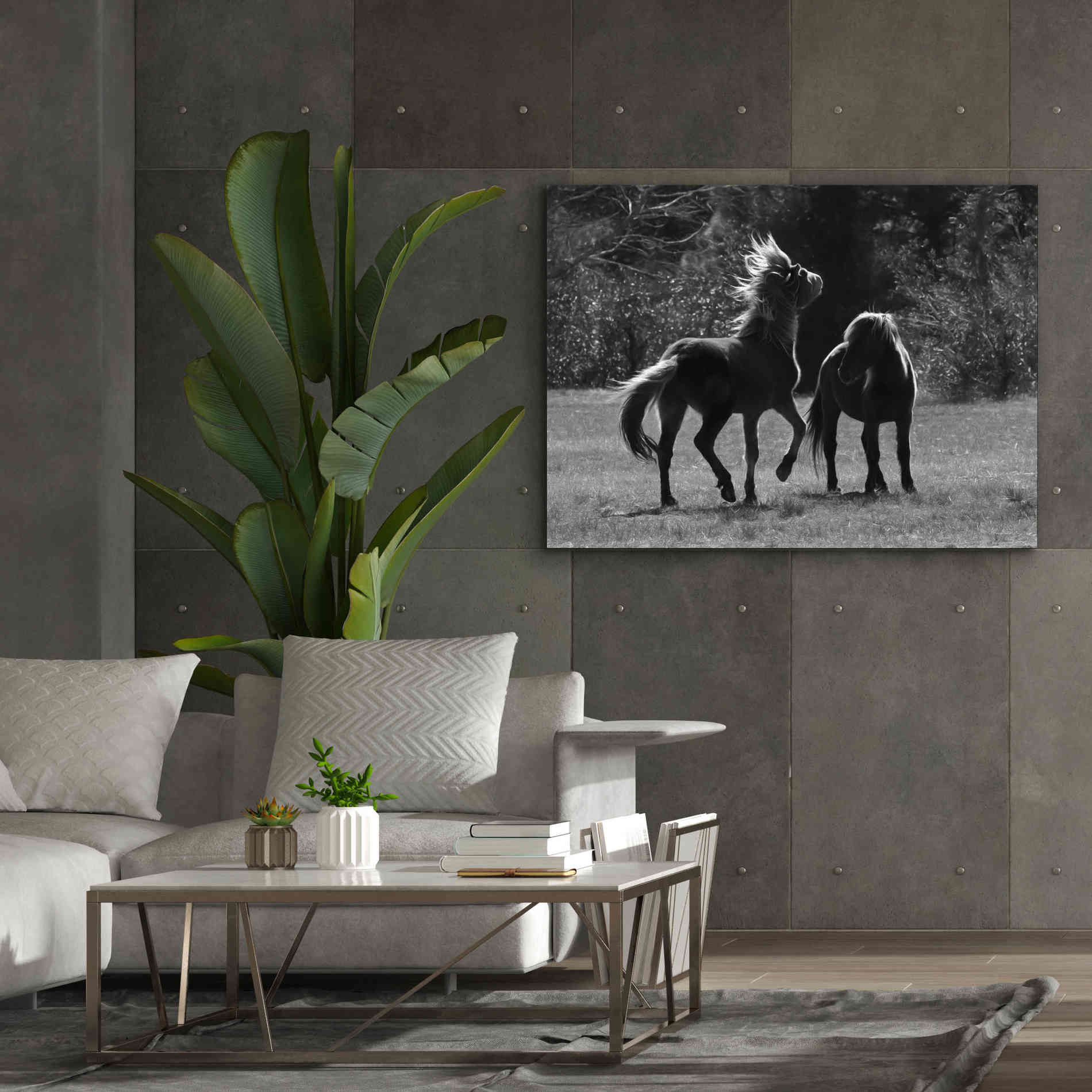 'Black & White Assateague Horses' by Lori Deiter, Canvas Wall Art,54 x 40