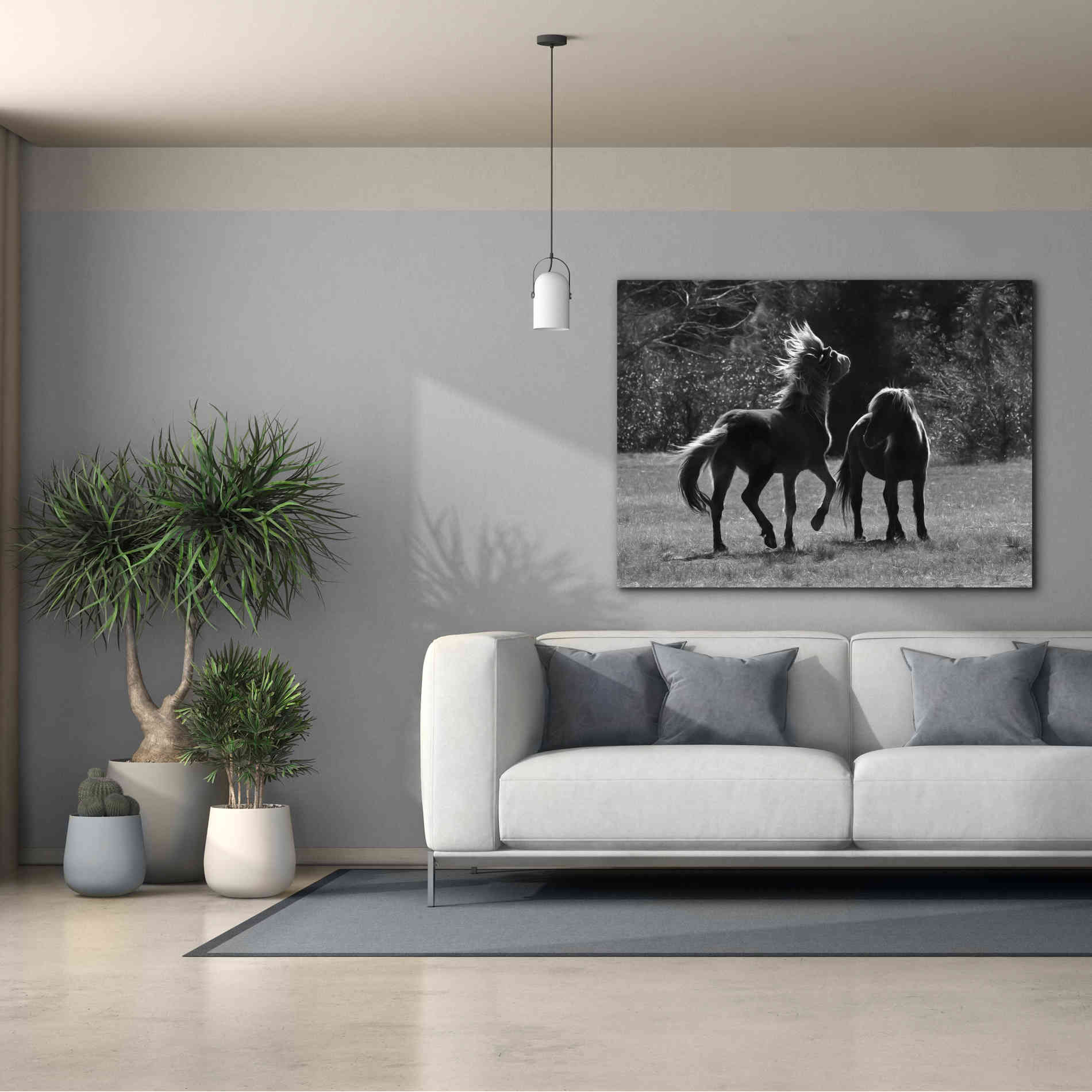 'Black & White Assateague Horses' by Lori Deiter, Canvas Wall Art,54 x 40