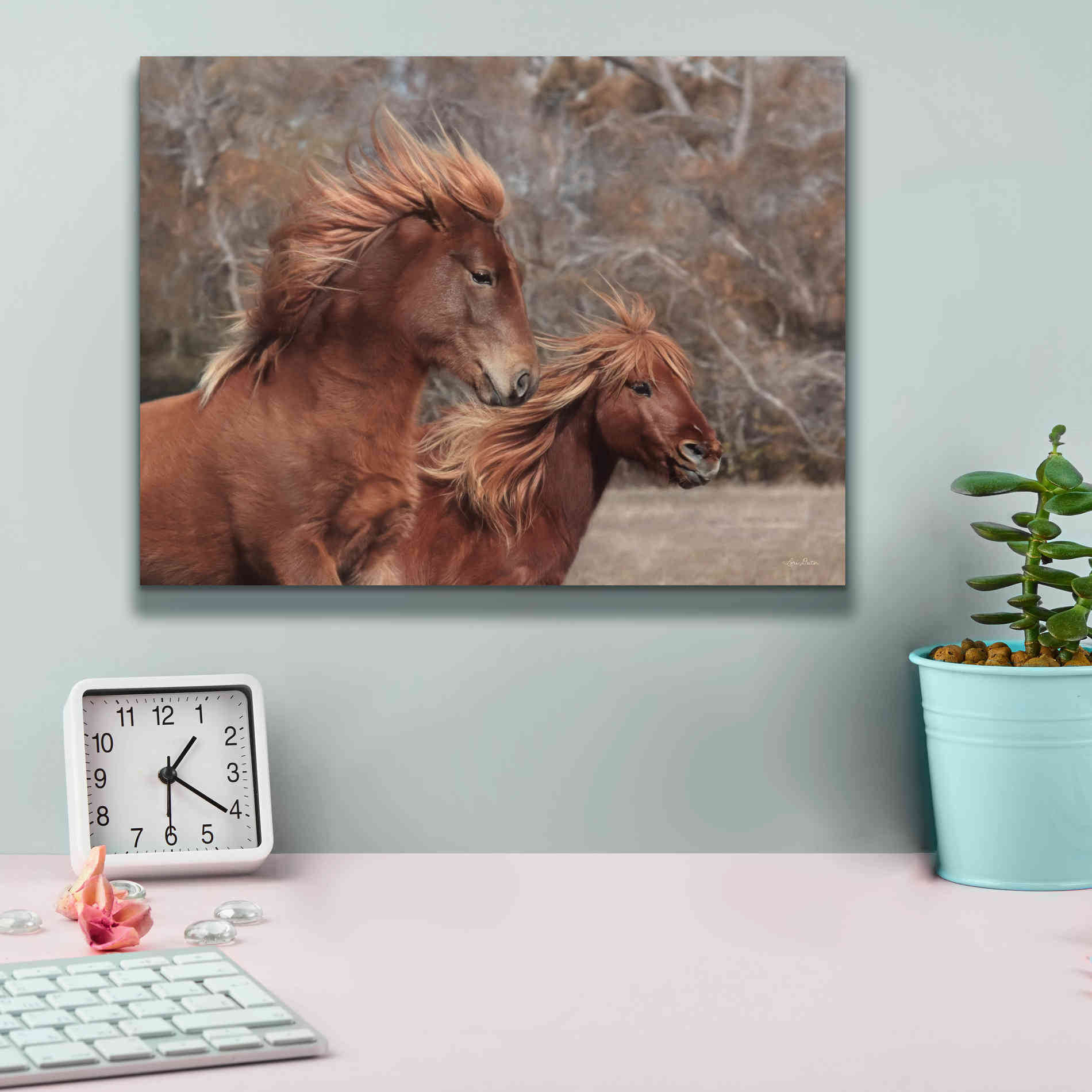 'Assateague Horses II' by Lori Deiter, Canvas Wall Art,16 x 12