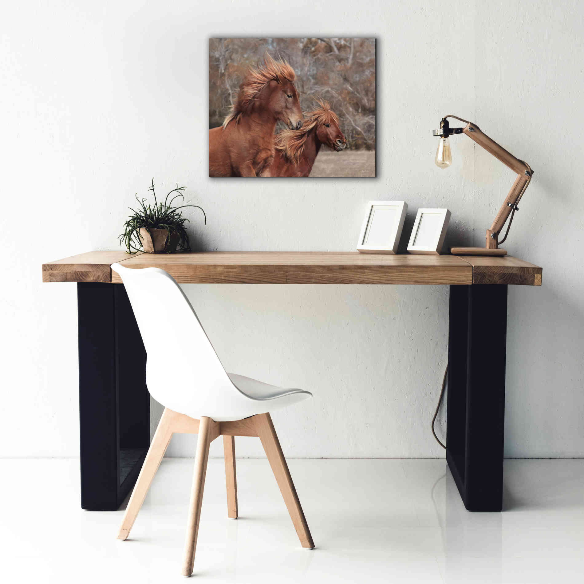 'Assateague Horses II' by Lori Deiter, Canvas Wall Art,24 x 20