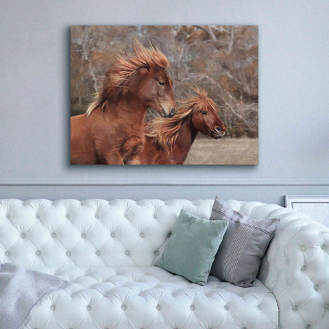 Image of 'Assateague Horses II' by Lori Deiter, Canvas Wall Art,54 x 40