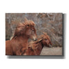 'Assateague Horses II' by Lori Deiter, Canvas Wall Art