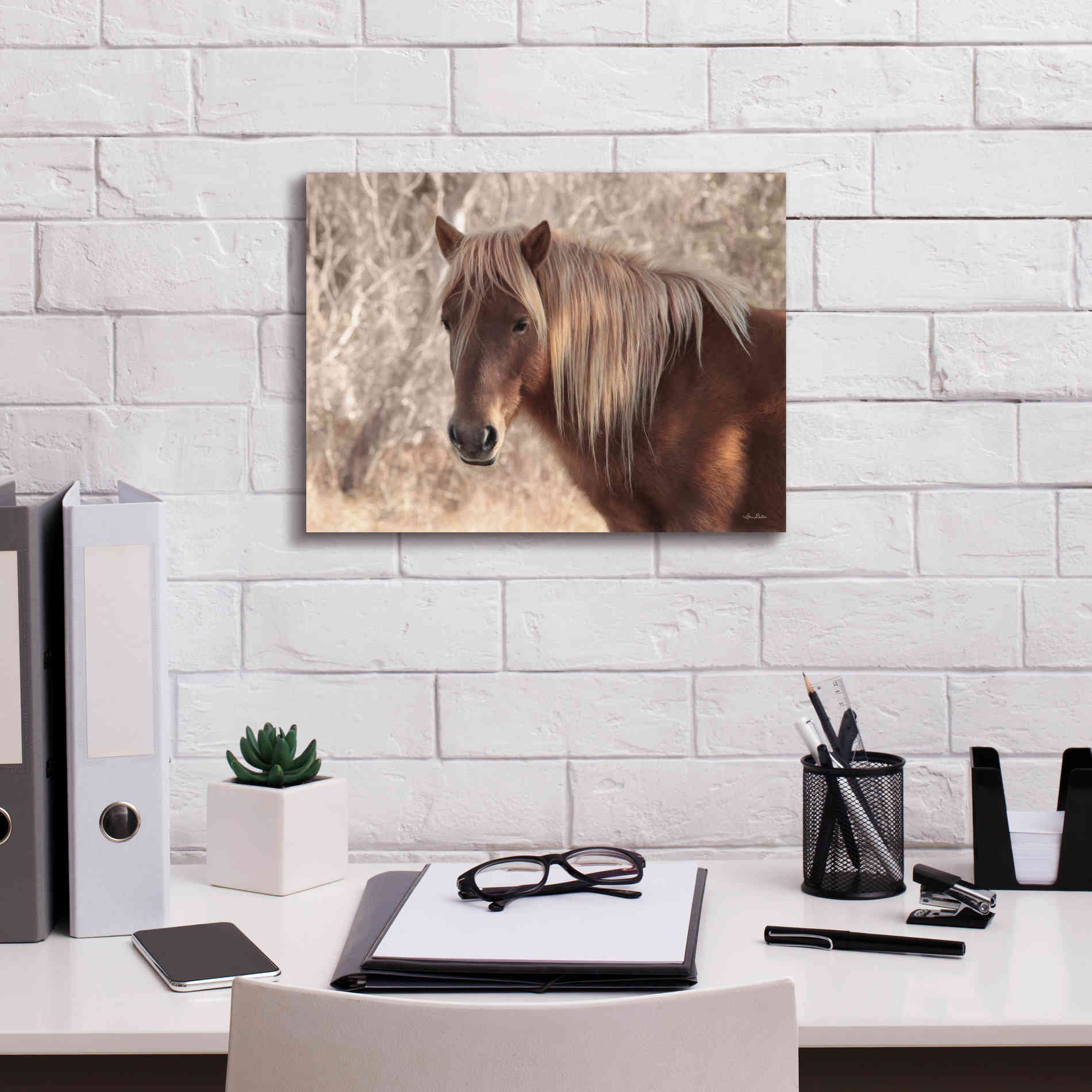'Assateague Horse Portrait' by Lori Deiter, Canvas Wall Art,16 x 12