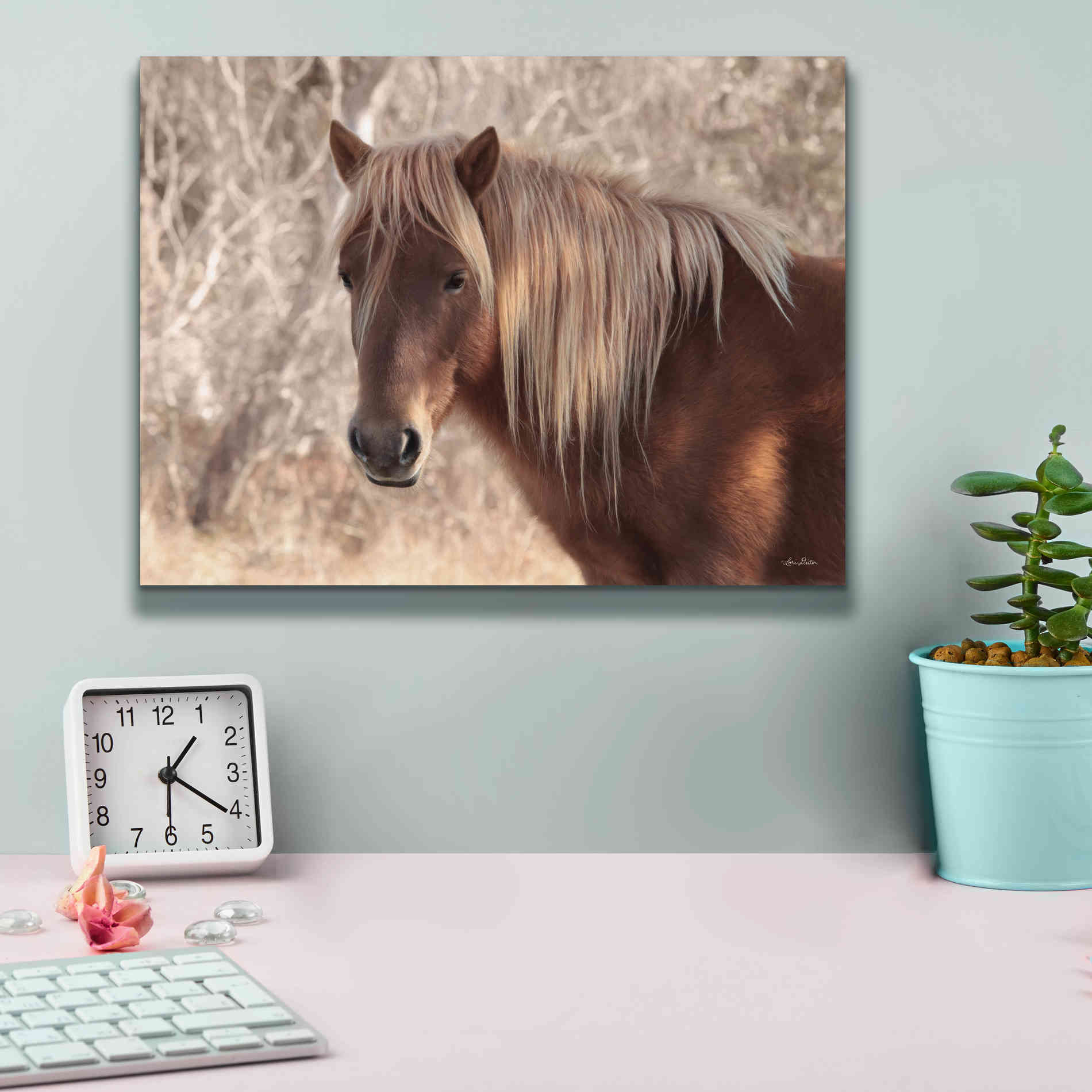 'Assateague Horse Portrait' by Lori Deiter, Canvas Wall Art,16 x 12