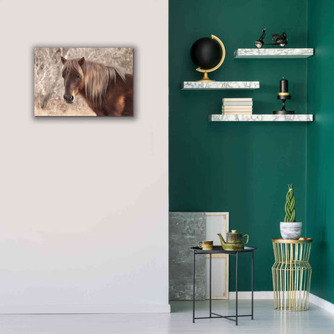 Image of 'Assateague Horse Portrait' by Lori Deiter, Canvas Wall Art,26 x 18
