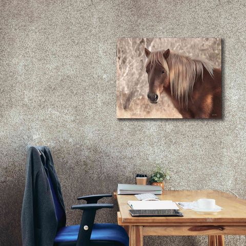 Image of 'Assateague Horse Portrait' by Lori Deiter, Canvas Wall Art,34 x 26