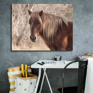 'Assateague Horse Portrait' by Lori Deiter, Canvas Wall Art,34 x 26