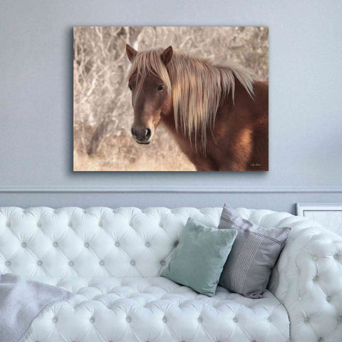 Image of 'Assateague Horse Portrait' by Lori Deiter, Canvas Wall Art,54 x 40