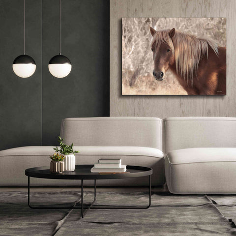 Image of 'Assateague Horse Portrait' by Lori Deiter, Canvas Wall Art,54 x 40