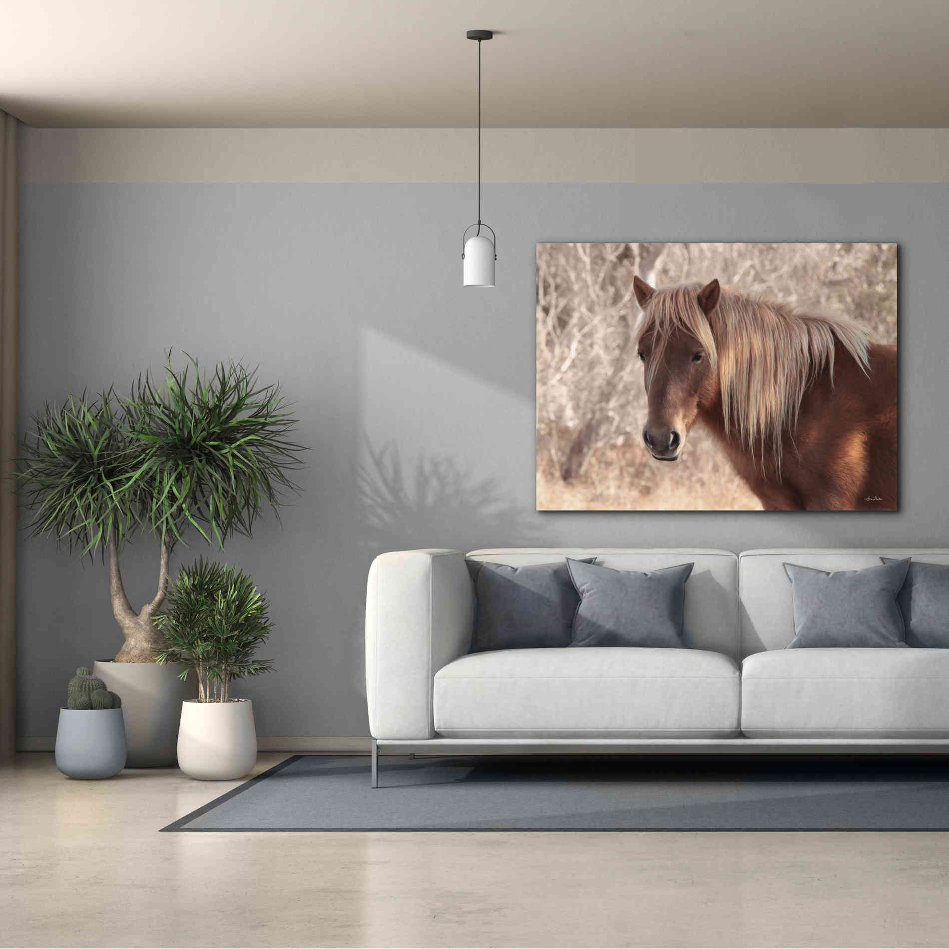 'Assateague Horse Portrait' by Lori Deiter, Canvas Wall Art,54 x 40