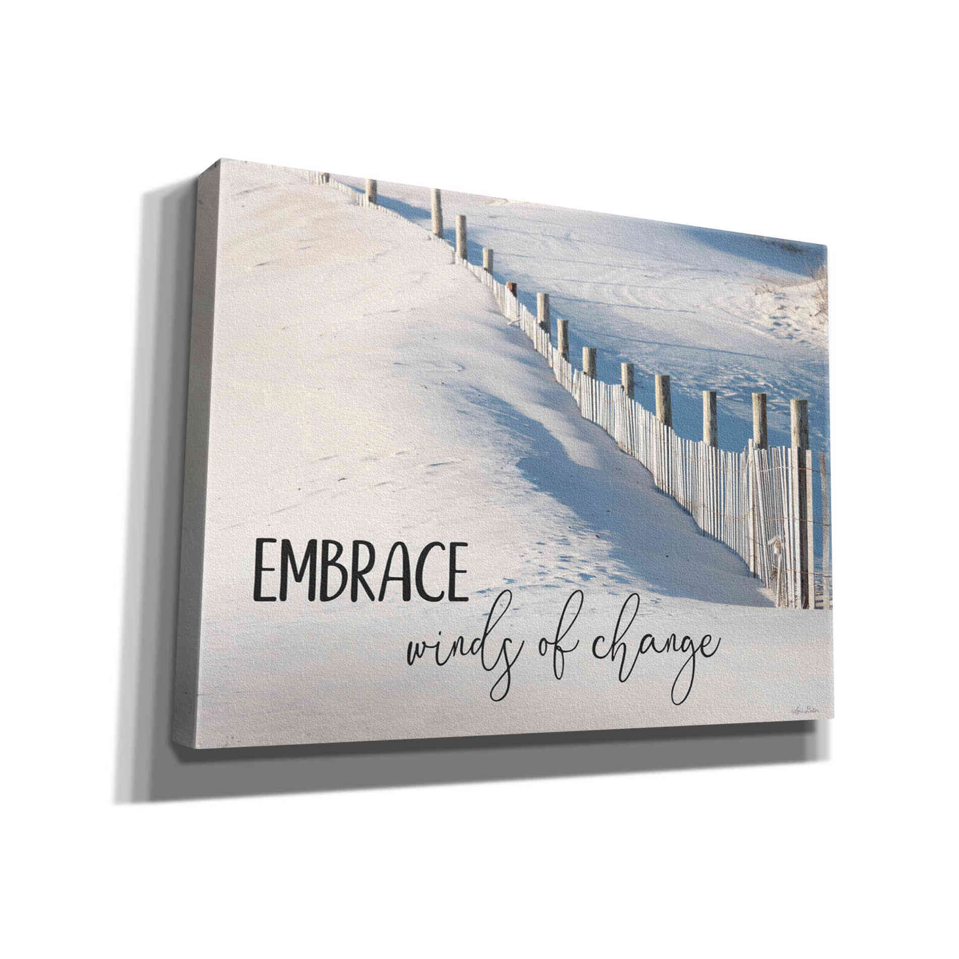 'Embrace Winds of Change' by Lori Deiter, Canvas Wall Art