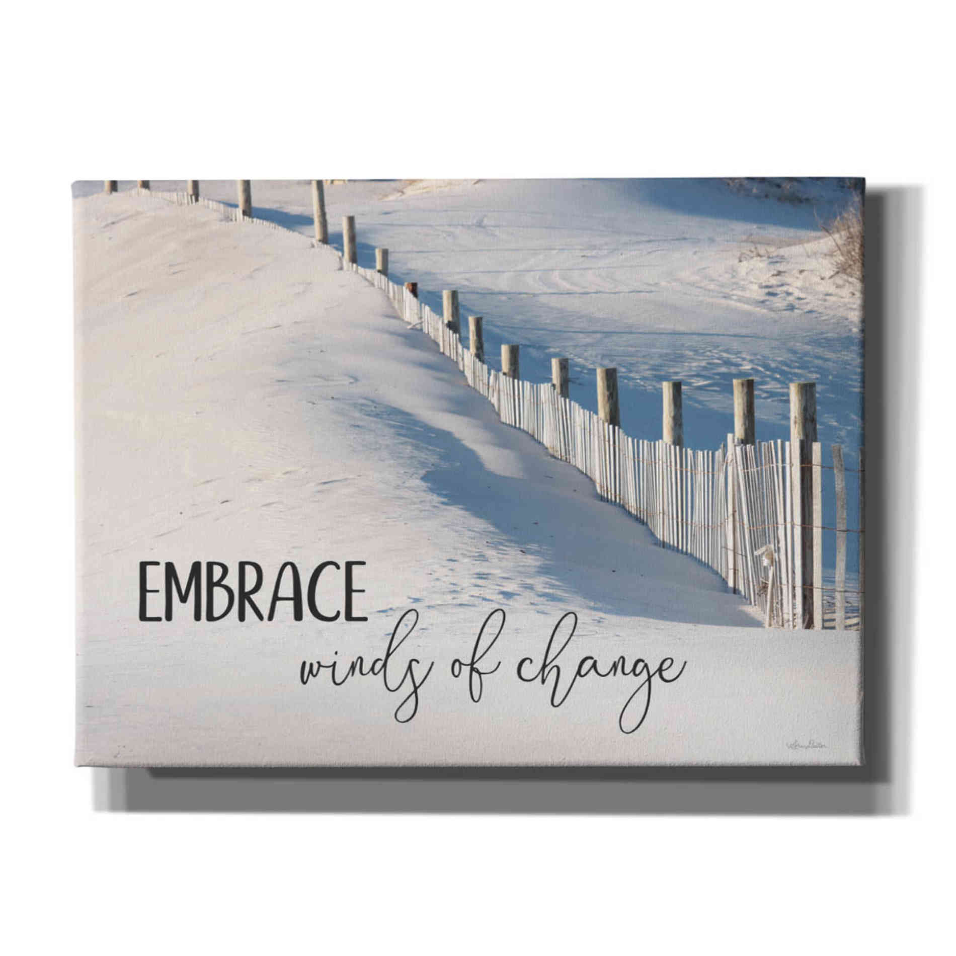 'Embrace Winds of Change' by Lori Deiter, Canvas Wall Art