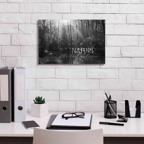 Image of 'Nature - The Best Medicine' by Lori Deiter, Canvas Wall Art,18 x 12