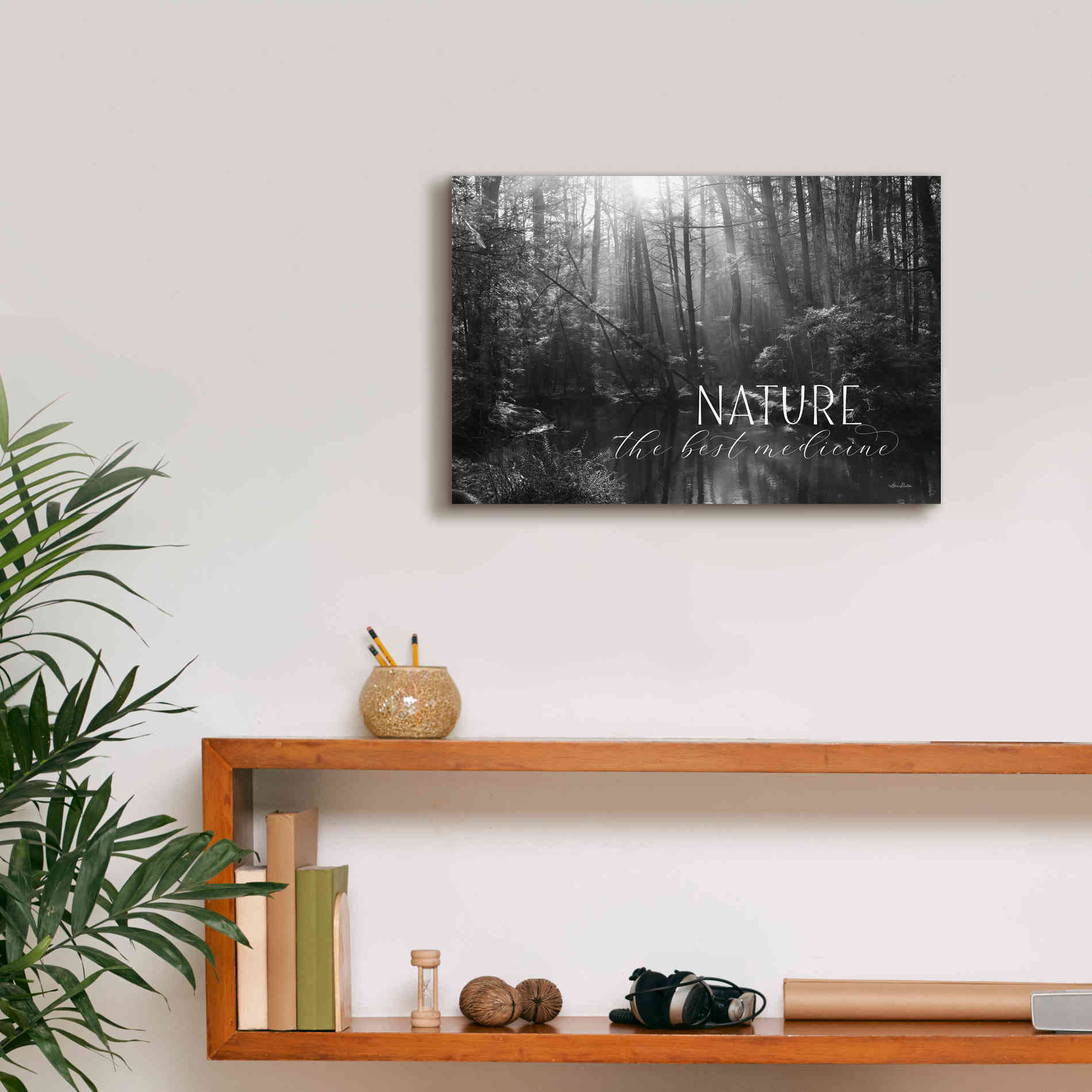 'Nature - The Best Medicine' by Lori Deiter, Canvas Wall Art,18 x 12
