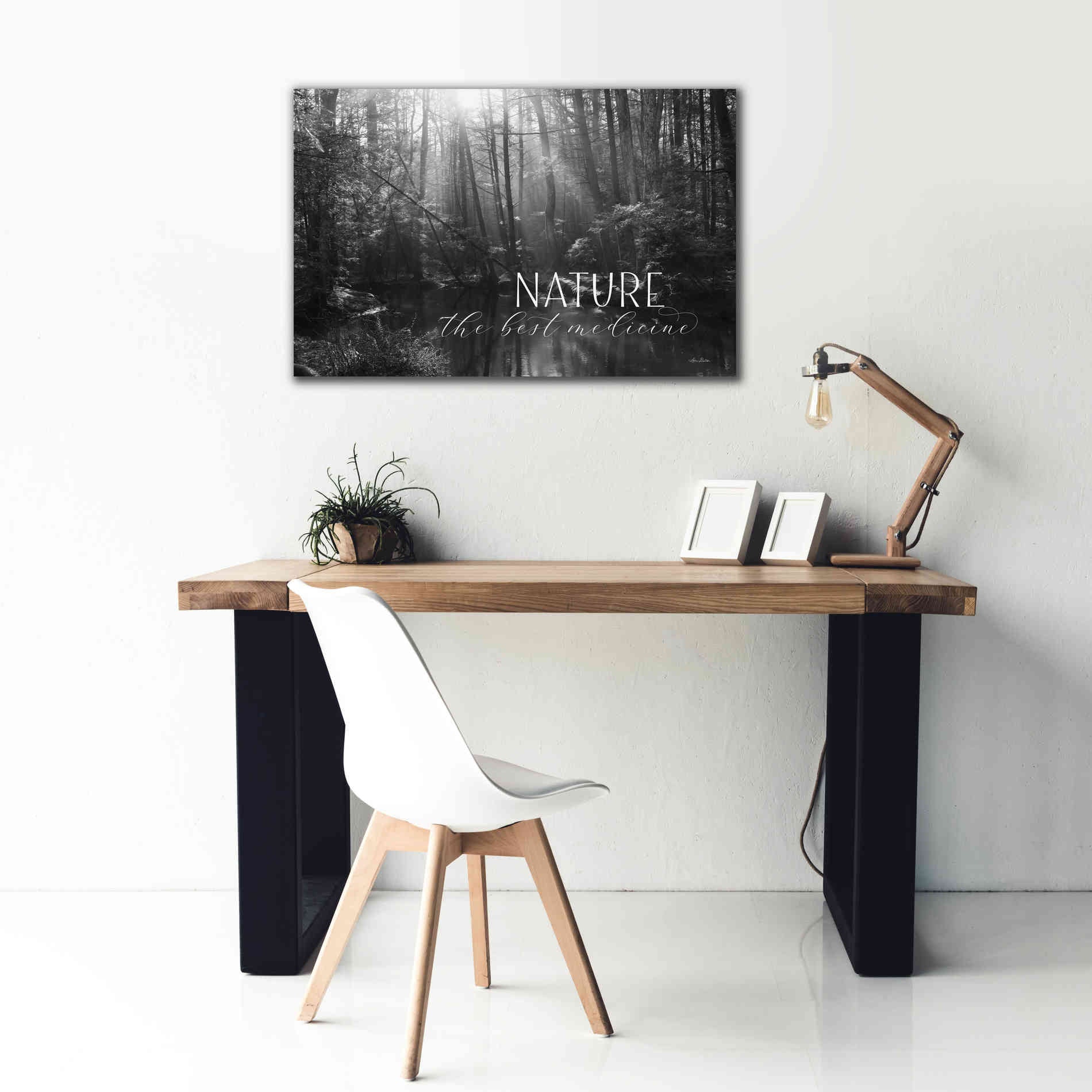 'Nature - The Best Medicine' by Lori Deiter, Canvas Wall Art,40 x 26