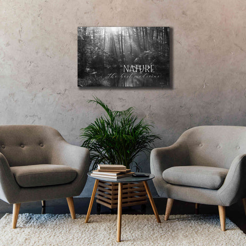 Image of 'Nature - The Best Medicine' by Lori Deiter, Canvas Wall Art,40 x 26