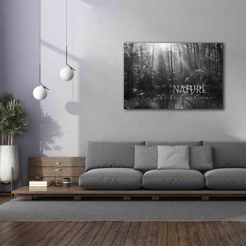 Image of 'Nature - The Best Medicine' by Lori Deiter, Canvas Wall Art,60 x 40