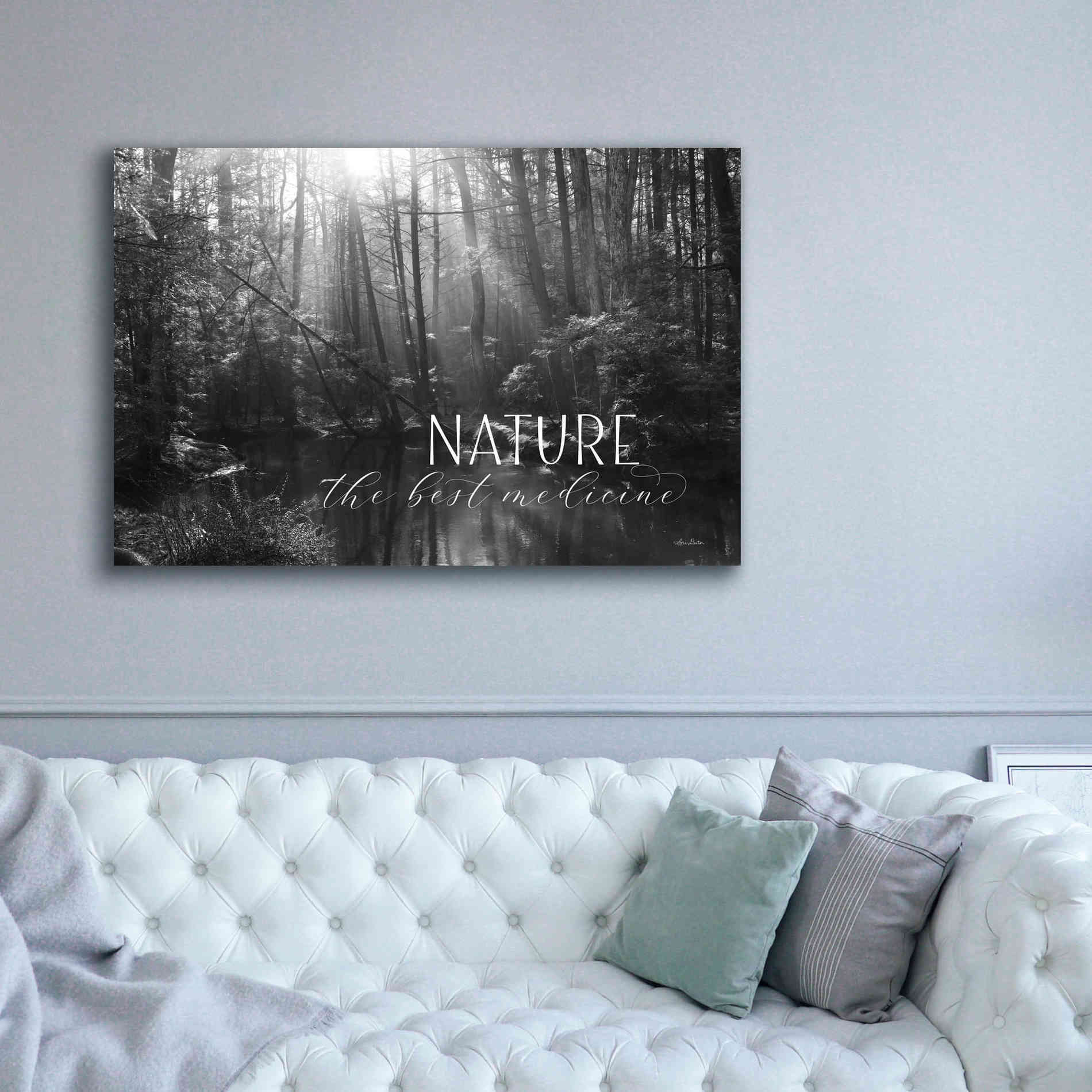 'Nature - The Best Medicine' by Lori Deiter, Canvas Wall Art,60 x 40