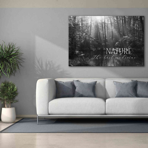 Image of 'Nature - The Best Medicine' by Lori Deiter, Canvas Wall Art,60 x 40