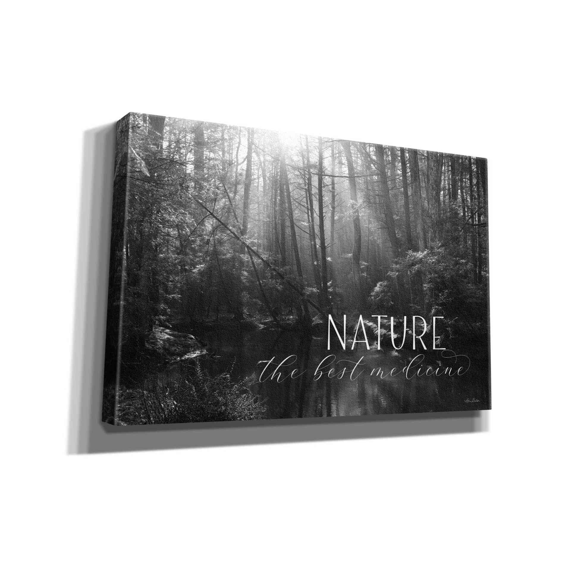 'Nature - The Best Medicine' by Lori Deiter, Canvas Wall Art