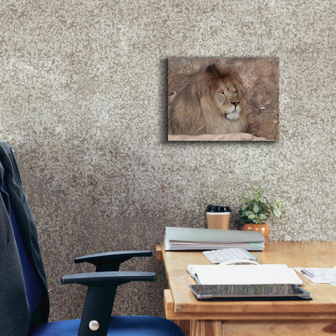 Image of 'Leo the Lion' by Lori Deiter, Canvas Wall Art,16 x 12