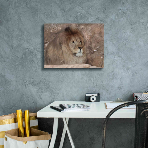 Image of 'Leo the Lion' by Lori Deiter, Canvas Wall Art,16 x 12