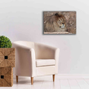 'Leo the Lion' by Lori Deiter, Canvas Wall Art,26 x 18