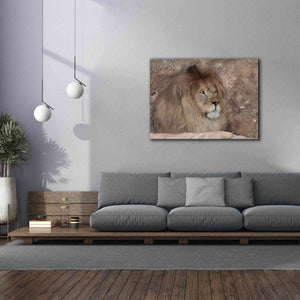 'Leo the Lion' by Lori Deiter, Canvas Wall Art,54 x 40