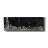 'See the Beauty in Every Day' by Lori Deiter, Canvas Wall Art