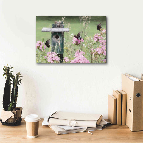 Image of 'Summer Fantasy' by Lori Deiter, Canvas Wall Art,18 x 12