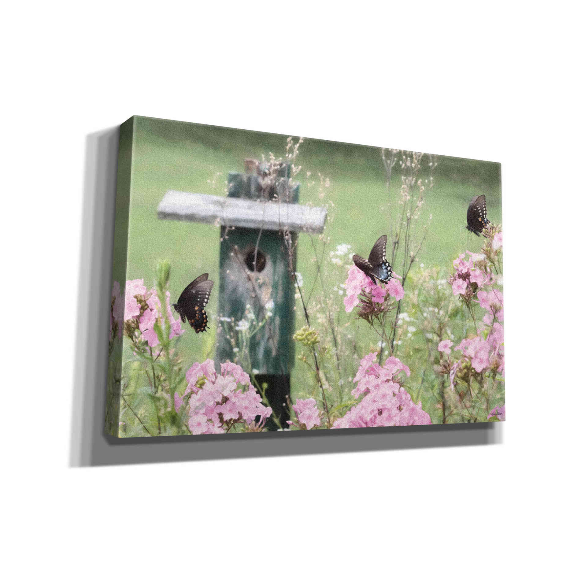 'Summer Fantasy' by Lori Deiter, Canvas Wall Art