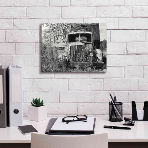 Image of 'Don't Leave Me Hanging' by Lori Deiter, Canvas Wall Art,16 x 12